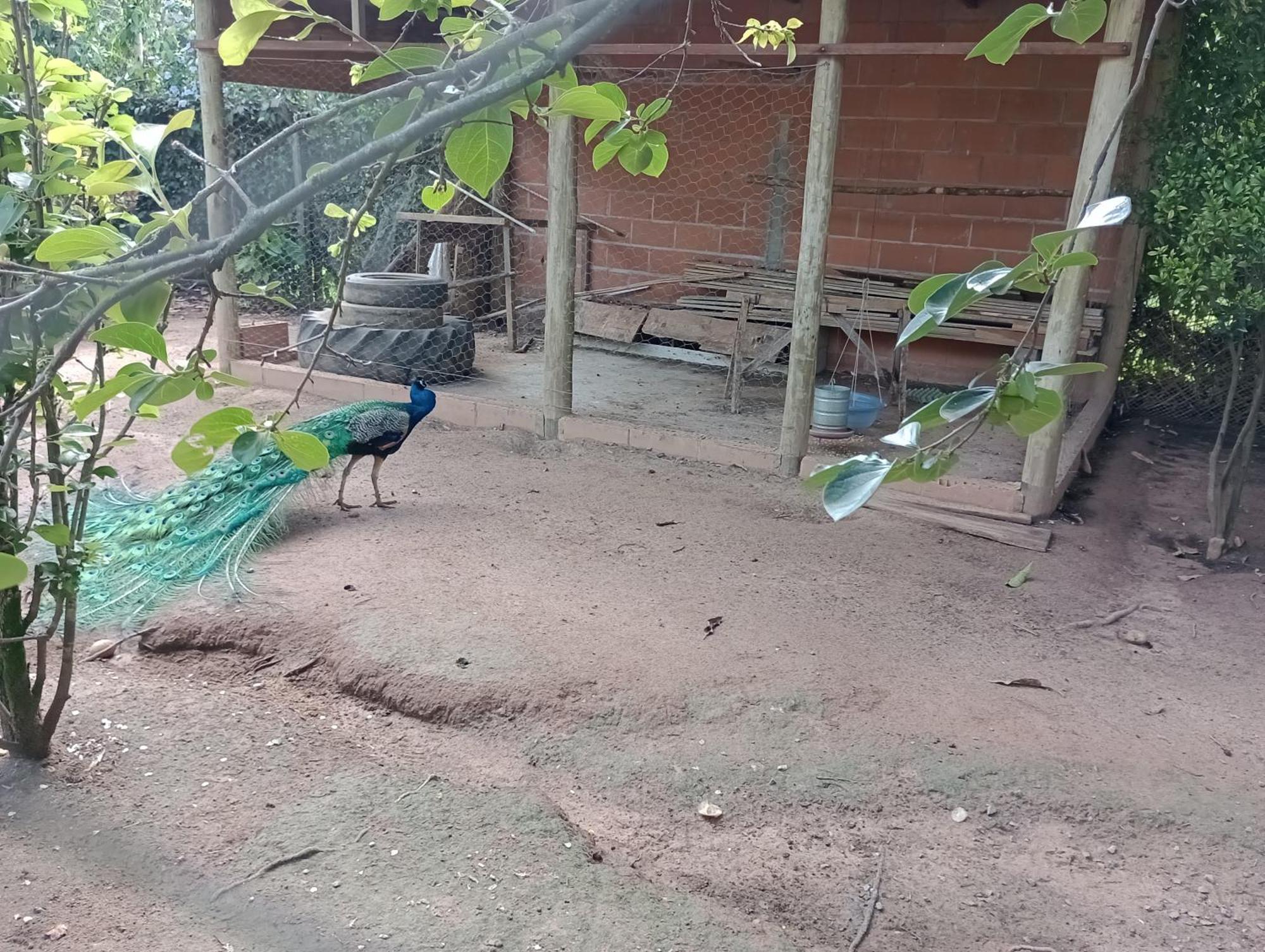 Pousada Chacara Vivalli 奥兰布拉 外观 照片